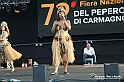 VBS_9133 - Fiera del Peperone di Carmagnola - Festa di Re Peperone e Bela Povronera
